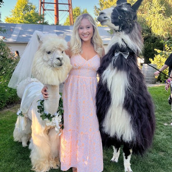 GORGEOUS Orange/ White Dress from Loft, Perfect for Wedding - Picture 2 of 9